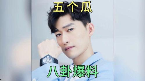 娱乐圈吃瓜爆料文,揭秘明星背后的秘密与八卦