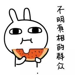 吃瓜不分年龄娱乐搞笑,吃瓜不分年龄，欢乐共享的娱乐盛宴