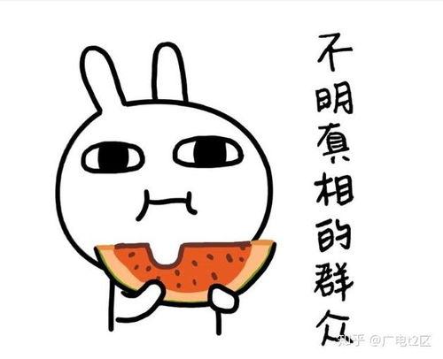 娱乐吃瓜酱原来表白被拒,表白被拒，揭秘娱乐圈背后的甜蜜苦涩